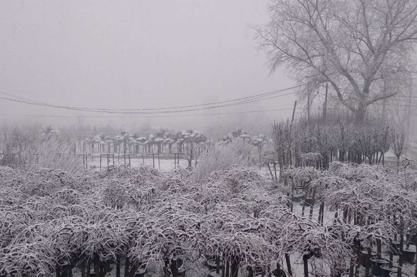 Bursa'da aralıksız yağan kar yağışı kenti beyaza bürüdü